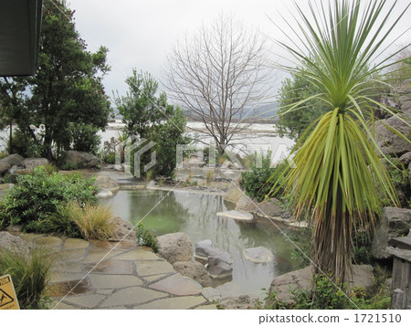 羅托魯瓦在新西蘭的溫泉 羅托魯瓦在新西蘭的溫泉 1721510