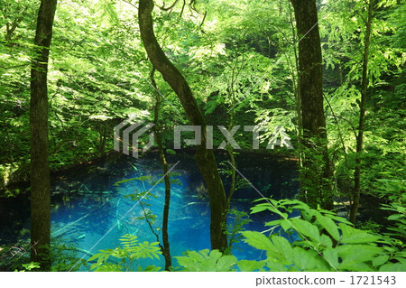 神秘的Aoike 1721543