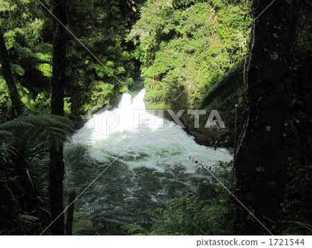 羅托魯瓦的Okera秋天在新西蘭 羅托魯瓦的Okera秋天在新西蘭 1721544