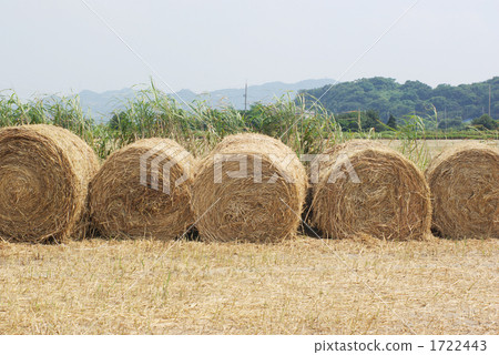 Hay roll Hay roll 1722443
