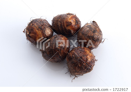 太郎（佐藤） 1722917