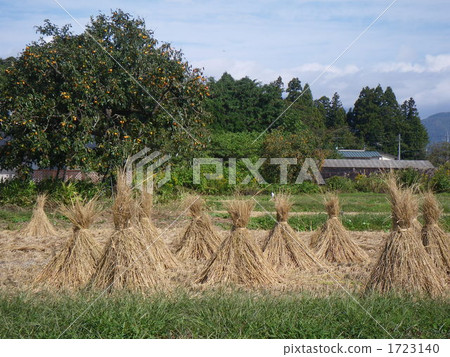 Country Fall 1723140