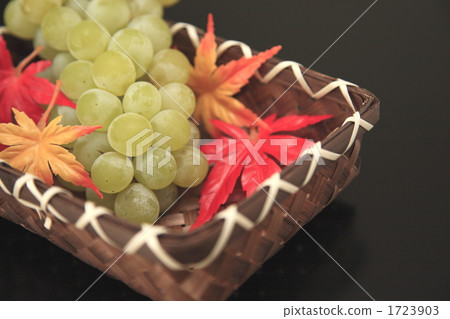 Grape 1723903