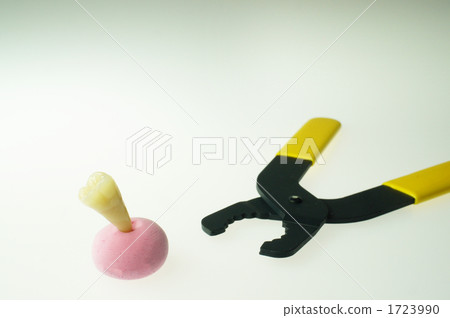 Possible teeth 1723990