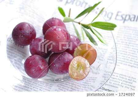 Grape Grape 1724097