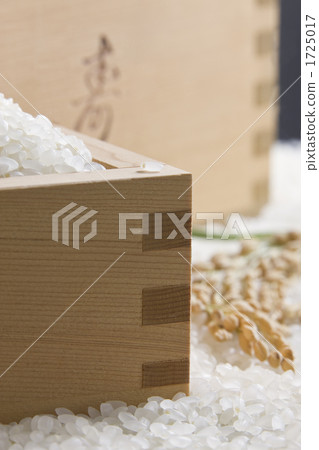 Rice  1725017