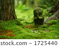 Warabe Jizo 1725440