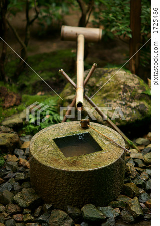 Ryoanji Temperance Bee 1725486