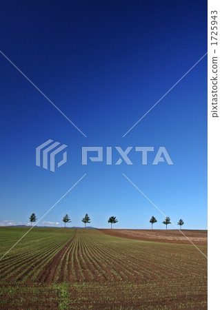 Hill of fairy tale 1725943