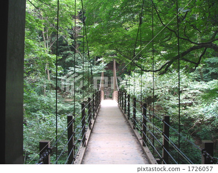 Green and suspension bridge. 1726057