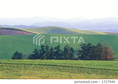 Biei no Oka Biei no Oka 1727940