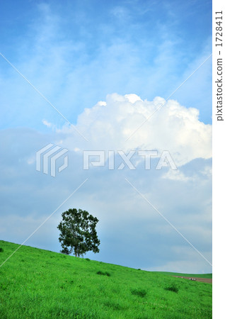 grassland, meadow, hill 1728411