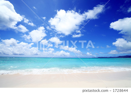 The beach The beach 1728644