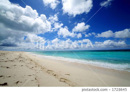 The beach The beach 1728645