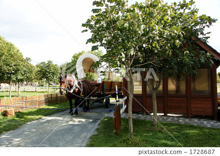 與馬車的風景 1728687