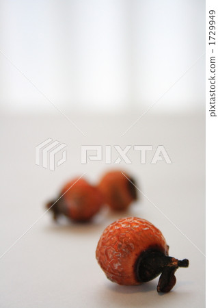 Prolonged leather (pencil) Prolonged leather (pencil) 1729949