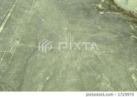 Hummingbird's ground drawing Hummingbird's ground drawing 1729979