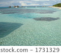 asiatic, asium, maldives 1731329