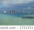 asiatic, asium, maldives 1731331