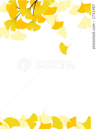 銀杏葉回來了 1731467