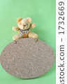 Cork board 1732669