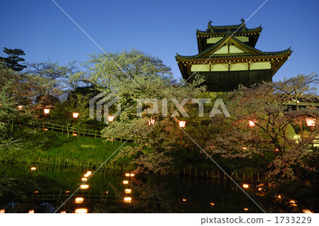 Cherry blossoms and light up at Yamatokoriyama castle 1733229