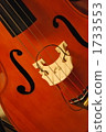 低音提琴 弦樂器 器具 1733553