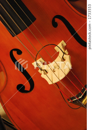 低音提琴 弦樂器 器具 1733553