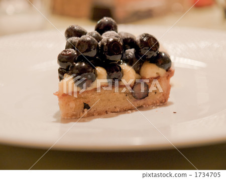 Blueberry tart 1734705