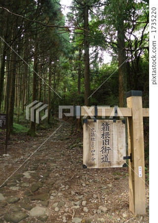 Hakone Old Road Hakone Old Road 1735220