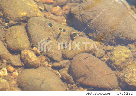 Play with the shadows Play with the shadows 1735282