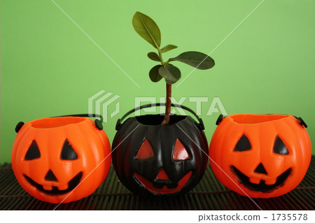 萬聖節 1735578