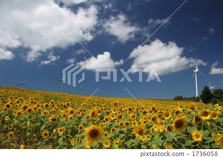 wind power, landscape, scape 1736058