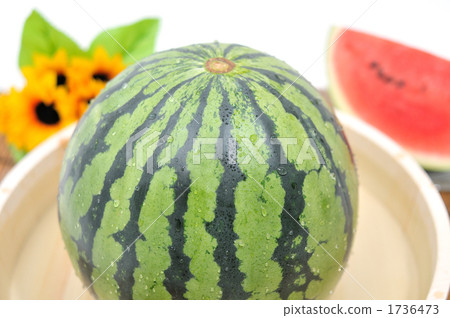 西瓜在夏天。 西瓜在夏天。 1736473