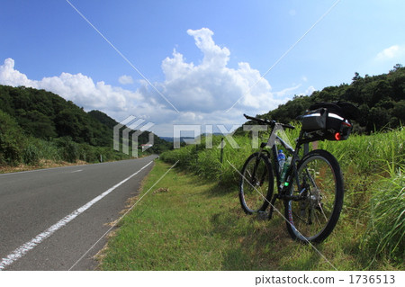 山地車 直路 自行車 1736513