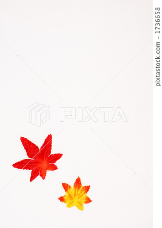 One point in autumn 1736658