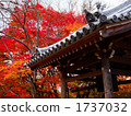 hanging bell, bell, red leafe 1737032