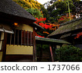 kasa-tei, shigure pavilion, tearoom 1737066