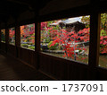 bentendo, sagashaka-dou, seiryou-ji 1737091