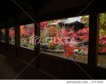 閥天堂 嵯峨釋迦堂 清涼寺 1737091