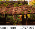 straw thatched roof, gate, gated 1737105