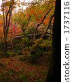 giou temple, scenery, scenic 1737116