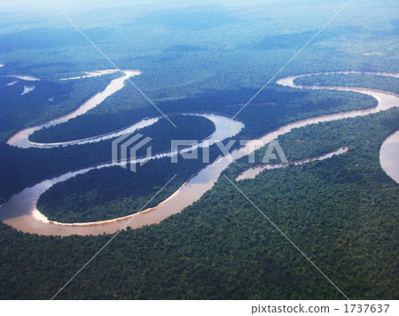 亞馬遜的叢林 1737637