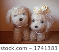 Welcome doll 1741383