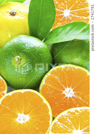 Blue oranges Blue oranges 1741791