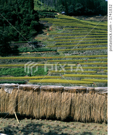 石工梯田 石工梯田 1741832