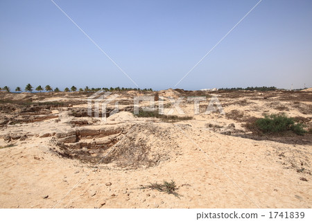Arubiedo remains Arubiedo remains 1741839