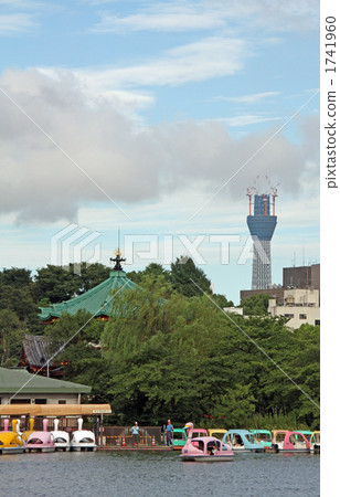 Shinobazu池塘和東京天空樹 1741960
