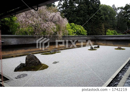 Ryusanji寺和垂枝櫻花 1742219