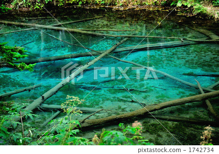 kaminoko pond, blue pond, aoiike 1742734
